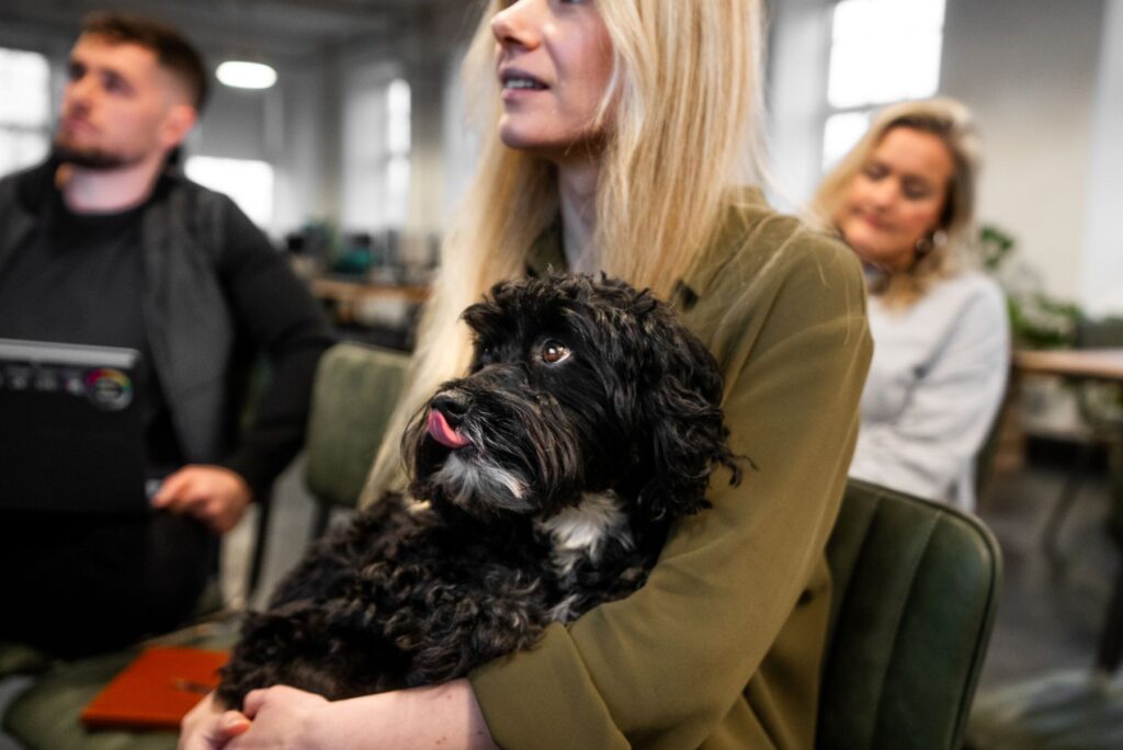 We Are Digital Agency Workshop Session 7